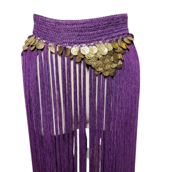 Hip Skirt Belly Dance Tassels Fringe Skirt Bellydance Coins and Fringe Hip Scarf - Picture 2 of 11